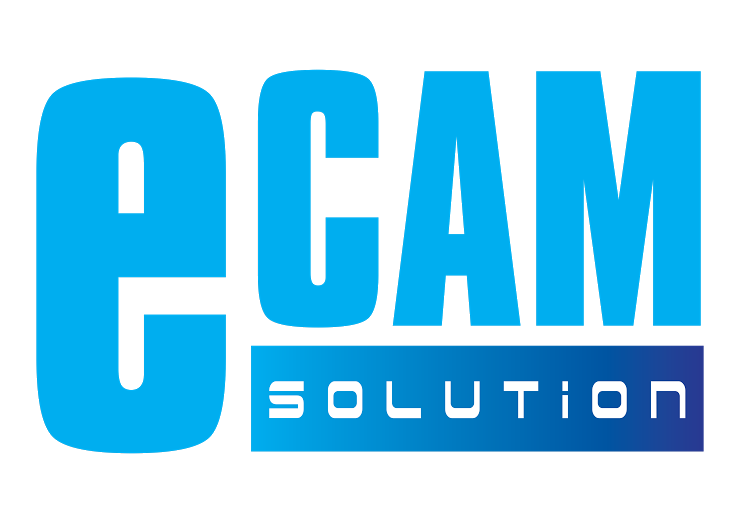 E-Cam Solution